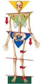 pronation of the feet